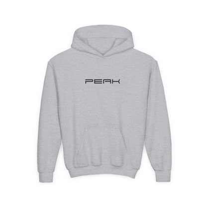 PEAK Kids Hoodie in Sport Grey, front view